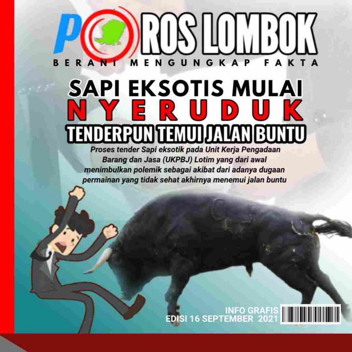 Pemenang Tender Ulang Sapi Eksotik Kandas Ditangan PPK Dinas Peternakan Lotim