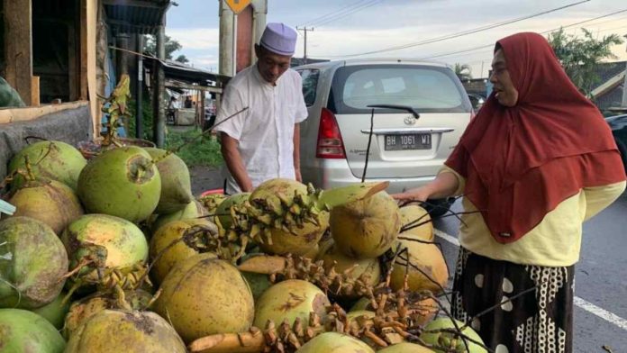 Foto : H. Rahman saat sedang melayani pembeli untuk kelapa mudanya (dok: Yami Ulandari / PorosLombok)