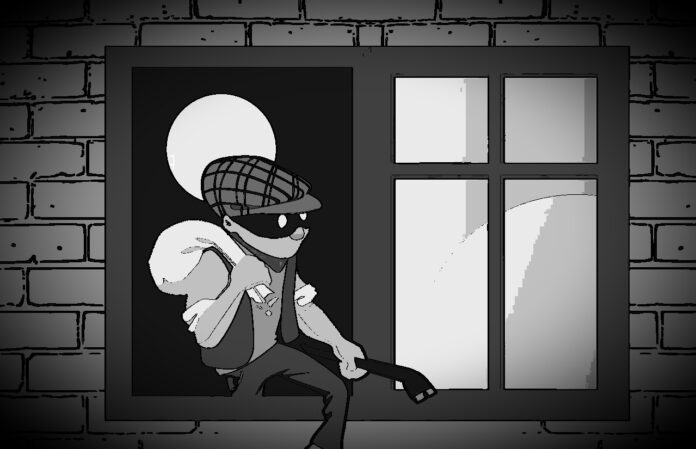 thief-4173477_1280