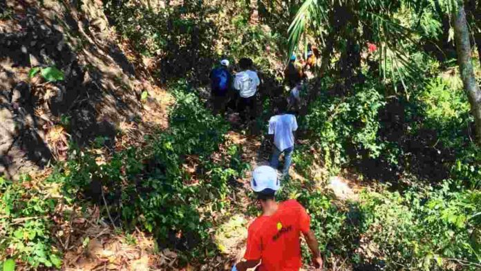 Logopit_1728817188374