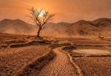 BMKG Prediksi Kemarau NTB 2026 Berlangsung Sembilan Bulan