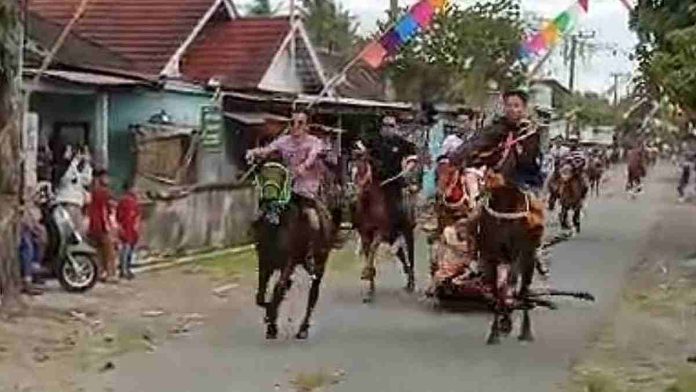 Aksi sejumlah joki memacu kuda dengan kecepatan tinggi di jalanan aspal Desa Jantuk Lombok Timur dalam tradisi tiyu tahunan.