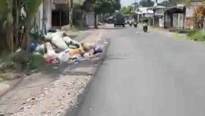 Pemandangan jalan raya aspal di Lombok Timur dengan tumpukan material proyek berupa karung-karung putih di sisi kiri jalan sebagai persiapan pengerjaan infrastruktur jalan.