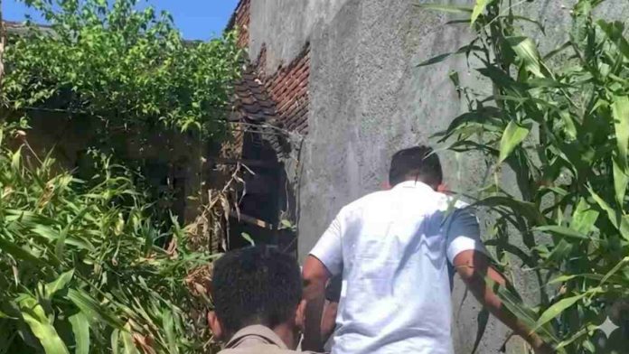 Dua petugas pria dari tampak belakang sedang berjalan menyisir area rimbun yang dipenuhi tanaman jagung dan semak hijau di samping sebuah bangunan dinding semen.
