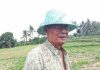 Cuaca Buruk Hantam Lombok Timur Petani Tembakau Terancam Gagal Panen