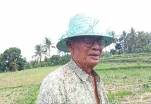 Cuaca Buruk Hantam Lombok Timur Petani Tembakau Terancam Gagal Panen