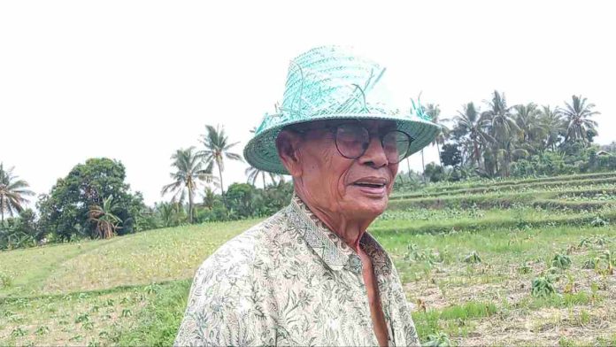 Petani Suele