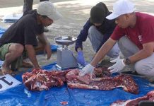 Disnakkeswan Pastikan Hewan Kurban di Lombok Timur Bebas Antraks dan Cacing Hati