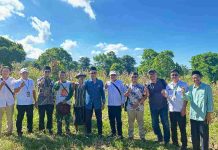 Petani Lombok Timur Naik Kelas Jadi Muzakki Berkat Lumbung Pangan Baznas Sepuluh orang pria berdiri berjejer di lahan pertanian jagung yang luas dengan latar belakang langit biru cerah, menunjukkan pose kebersamaan usai panen.