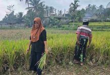 Aturan Banyak Seragam Sekolah di Lombok Timur Bikin Buruh Tani Menjerit