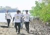 Aksi Bank NTB Syariah dan Mitra Konservasi Tanam Mangrove di Paremas Lombok Timur